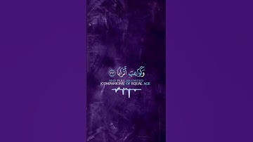 ﴿ إِنَّ لِلْمُتَّقِينَ مَفَازًا﴾[ سورة النبأ: 31