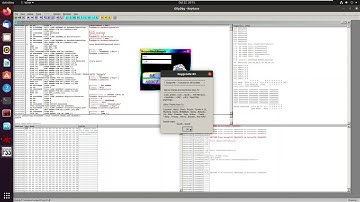Reverse Engineering Basics / Patching Windows Application Tutorial