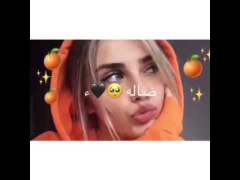 اغنيه يلا كلو برا