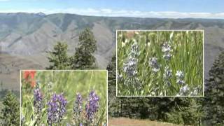 Hells Canyon Scenic Byway