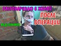 АНГЕЛИНЕ СДЕЛАЛИ ОПЕРАЦИЮ / РАЗГОВАРИВАЮ С ЖЕНОЙ / ДЕЛАЮ РЕМОНТ / ГОТОВЛЮ КУШАТЬ / МУЖ ОДИН БЕЗ ЖЕНЫ