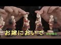 (カラオケ) お嫁においで / 加山雄三