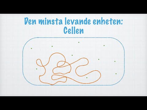 Video: Vilka är termerna för biologi?