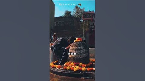तन मन धन सब तेरा । Mahadev Status । Bholenath Status । Trending Mahakal Shorts #shorts