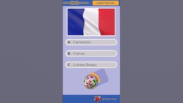 #26 Guess and Learn Flags of the World with @FlagFootage: waving flags in the wind #flagquiz