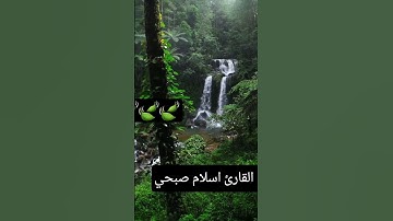 #تلاوة_خاشعة #تلاوة_هادئة #إسلام_صبحي #خواتيم_سورة_المؤمنون #اسلام_صبحي #سورة_المؤمنون #قرآن_كريم 🍃🍃