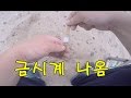 ??) ?????? ??? ?? ??!!! beach metaldetecting gold watch?