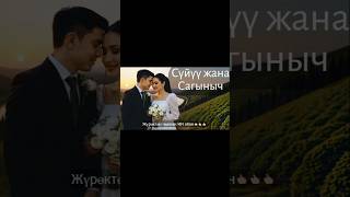 🎵 Жаңы Ырлар 2025 | Кыргыз Хит Ыр | Жүрөккө Жакын Музыка | Shorts