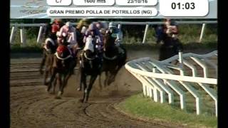 Hipódromo La Punta - (23-10-2016) Carrera 07