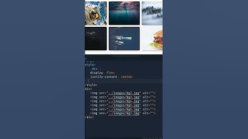 Html 5 and Css: Image Gallery || Css Hover image with Source Code and Full video link # shorts