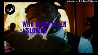 LIEK BABY WHO WHAT WHEN ft KOLY P #Slowed