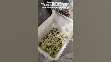 Multi Blade Type Spring Onion Segment Cutting Machine