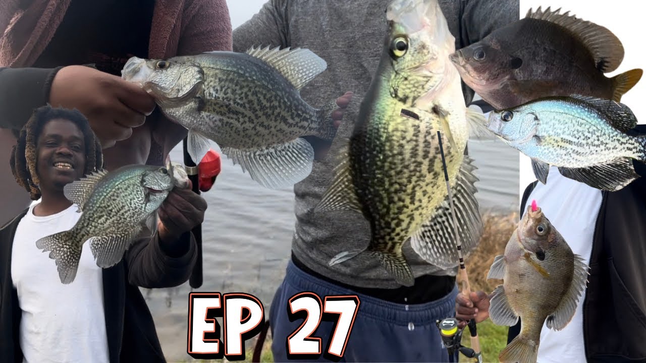 Безостановочное действие! Крупные окуни и солнечные окуни подряд (Рыбные истории, эпизод 27)