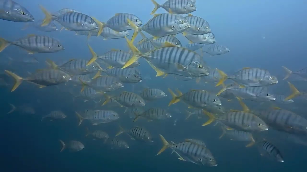 ここ数日の海です🙂