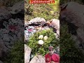 Wow! This Outdoor Cooking Was AMAZING 😳 My SHOCKING Reaction | Camping & Survival #bushcraft #shorts