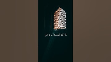 الصبر مفتاح الفرج 💚 تلاوة خاشعة من سورة النحل بصوت القارئ #فارس_عباد  #قران_كريم #quran #viral