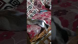 Download Lagu her memory #cat MP3 Download Lagu her memory #cat MP3