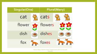 Grade  1   English    Singular and Plural Part 2