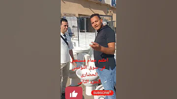 طقم حمام مستعمل كليوباترا وروكا و دروفيت سوق التونسي الحضاري تشطيبات سوق الجمعة ديكور داخلي 