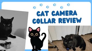 Cat Camera Collar | Review | ASOKO | Mistakes Were Made by Me #amazonfinds #cat #petcam screenshot 5