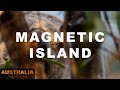 Australia Through the Lens - Magnetic Island