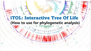 iTOL for Phylogenetic Analysis | Visualizing Large Protein Trees