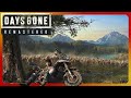 Первый взгляд на Жизнь после и ремастер ▷ DAYS GONE REMASTERED