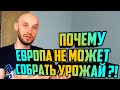 ЧТО ПРОИСХОДИТ В ЕВРОПЕ ? / Польша (Авиаперевозки, сбор урожая, инцидент на границе)