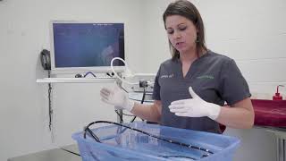 Gastroscope setup and cleaning guide by VetOvation