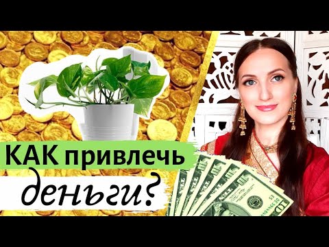 💲 💰🍀РАСТЕНИЕ для привлечения ДЕНЕГ и БОГАТСТВА I Васту 💲💰🧲🌾 10 преимуществ