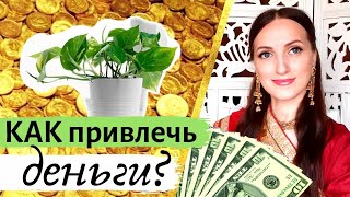 видео: 💲 💰🍀РАСТЕНИЕ для привлечения ДЕНЕГ и БОГАТСТВА I Васту 💲💰🧲🌾 10 преимуществ картинка: 💲 💰🍀РАСТЕНИЕ для привлечения ДЕНЕГ и БОГАТСТВА I Васту 💲💰🧲🌾 10 преимуществ