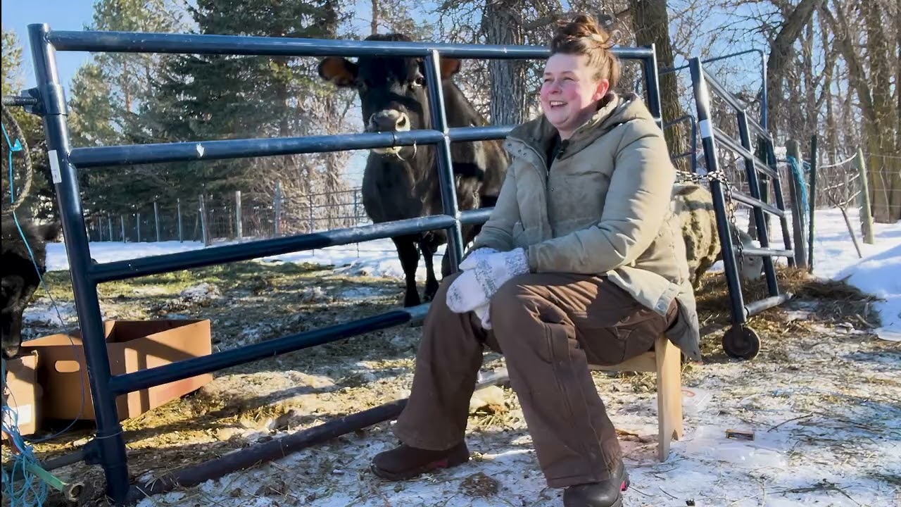 Farmer Testimonial - Bovilles Barnyard