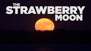 Celebrity Strawberry Moon Rising 2022 Net Worth