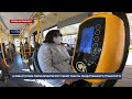 В Севастополе переформатируют схему работы общественного транспорта