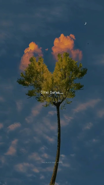 Jitni Dafa - Song 💗✨ || Jitni Dafa Dekhu Tumhe Dhadke Joro Se || WhatsApp Status || #shorts #viral