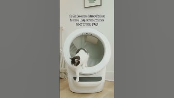 How to set up Litter-Robot