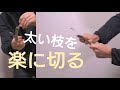 枝を簡単に切る方法【生け花・フラワーアレンジメント、初心者向けの基本】