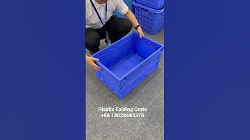 Bidifu Plastic folding crate Made in China