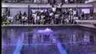 307C Record Breaking Dive