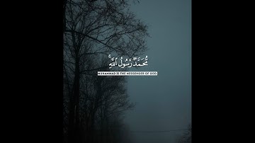 🤍🎧 القارئ الشيخ رزكار الكردي | سورة الفتح