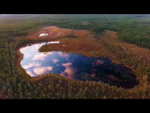 Norrbotten, the northernmost county of Sweden. 