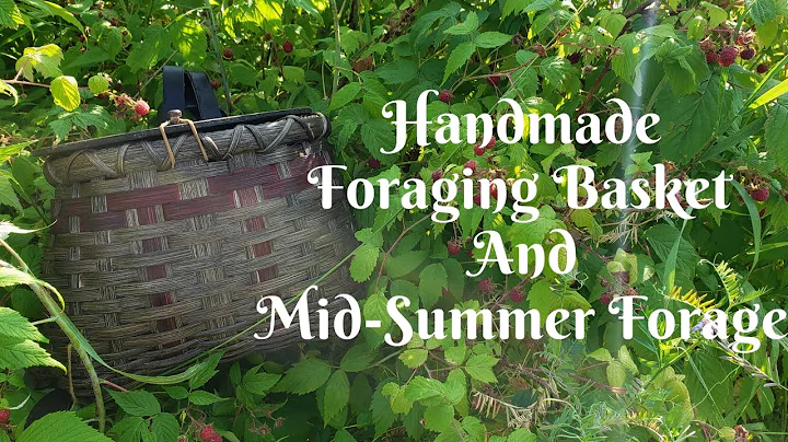 Handmade Foraging Basket and Mid Summer Forage