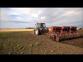 Посев пшеницы. Беларус 1221+СЗС 2.1