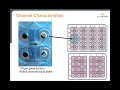 Bioflux webinar  using bioflux to study cell rolling