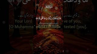 ✨ Surah Ad-Duha | A Soothing Recitation with Peaceful Background | Quran Tilawat