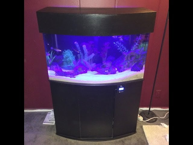 46 gallon bow front acrylic aquarium set up and Canopy build by: Jake Pitts  