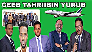 Download Lagu DEGDEG: Dowlada oo Tahriibisay 9 dhalinyaro ah Cali qarax macruf ragi Farmajo iyo Deni caayi jiray MP3 Download Lagu DEGDEG: Dowlada oo Tahriibisay 9 dhalinyaro ah Cali qarax macruf ragi Farmajo iyo Deni caayi jiray MP3