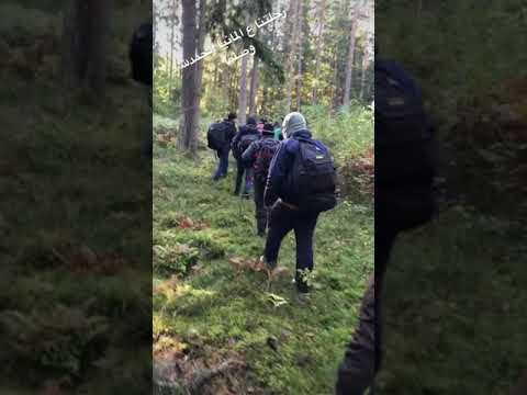 طريق المانيا بلاروسيا غابات بولندا