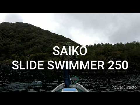 2025.10.23 SAIKO SLIDE SWIMMER 250 炸裂！！ GLIDEBAIT Bassfishing deps 西湖 スライドスイマー