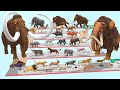 Which Animal vs Prehistoric Mammals Speed Race Run Zigzag Down Course! from Outside Animal Revolt
